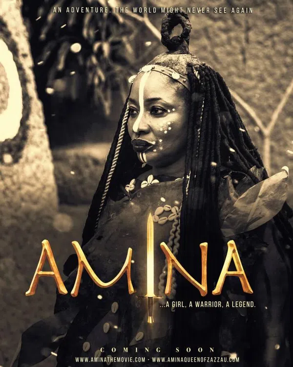 Poster phim Amina trên Motchill