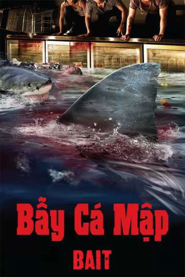 Poster phim Bẫy Cá Mập trên Motchill
