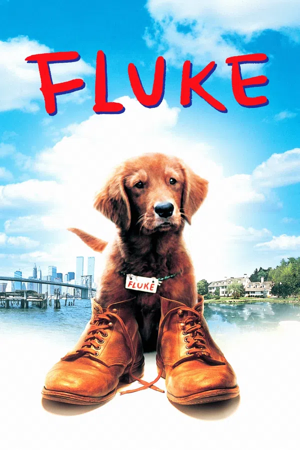 Poster phim Chú Chó Fluke trên Motchill