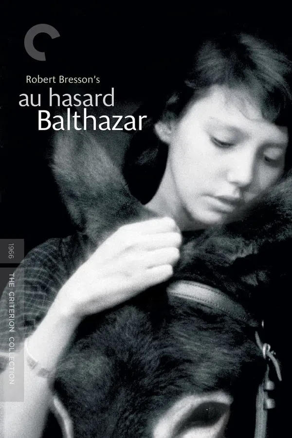 Poster phim Chú Lừa Balthazar trên Motchill