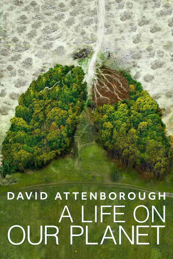 Poster phim David Attenborough: Một Cuộc Đời Trên Trái Đất trên Motchill
