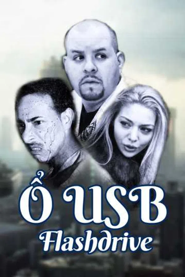 Poster phim Ổ USB trên Motchill