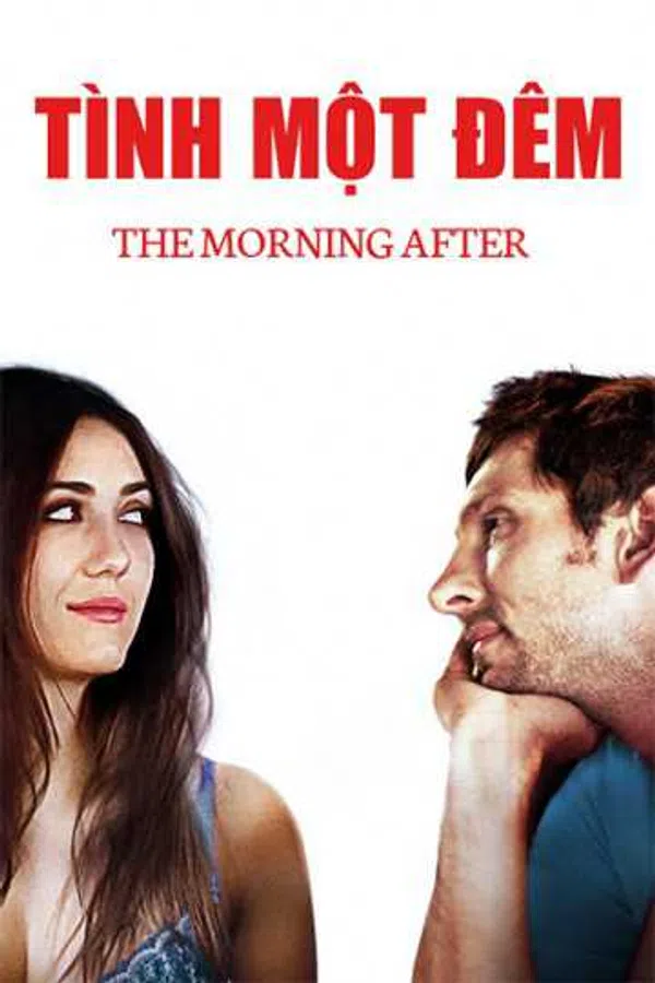 Poster phim Tình Một Đêm trên Motchill