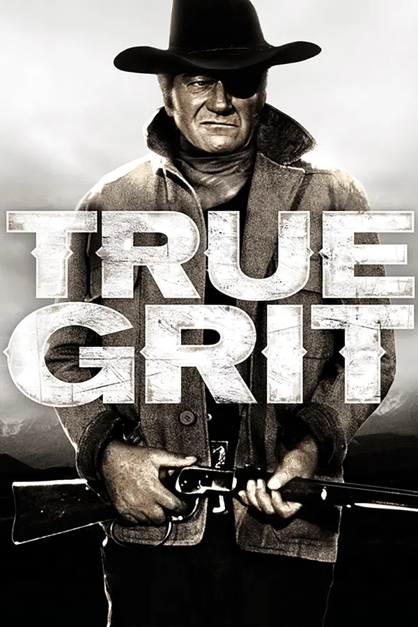 Poster phim True Grit trên Motchill