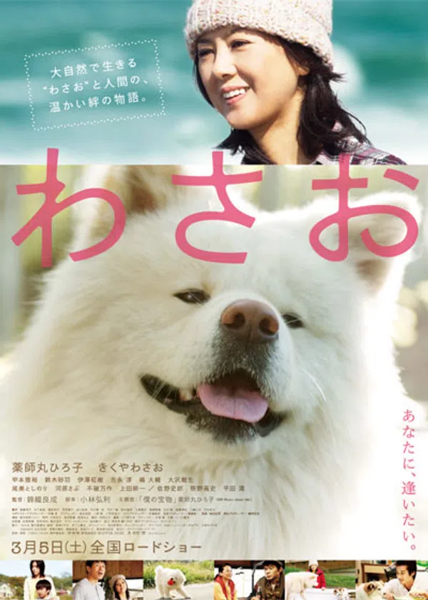 Xem Phim Wasao Vietsub HD Online